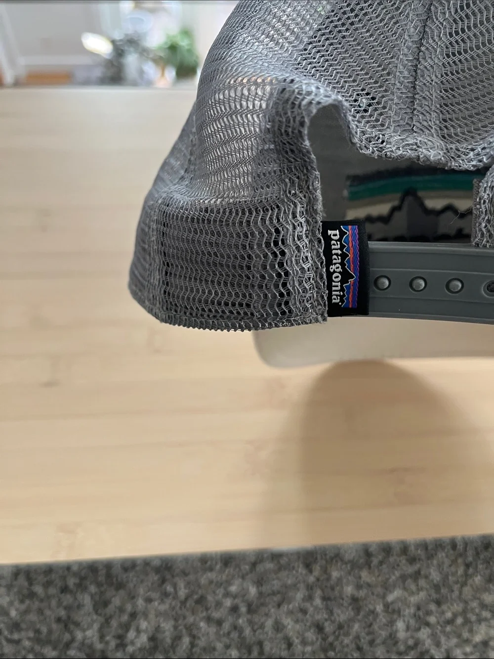 Patagonia trucker cap